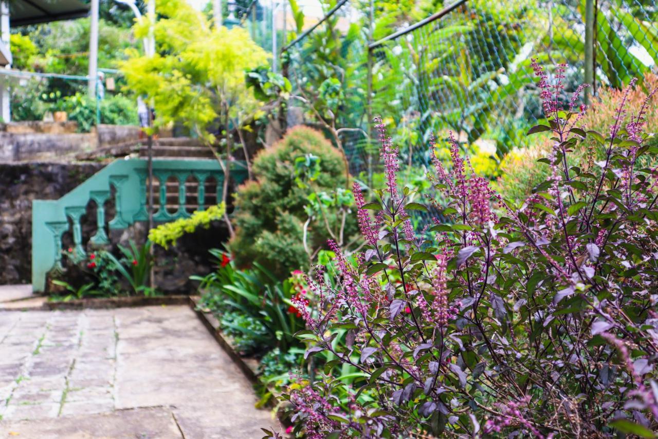 Sitha'S Heaven Bed & Breakfast เอลลา ภายนอก รูปภาพ