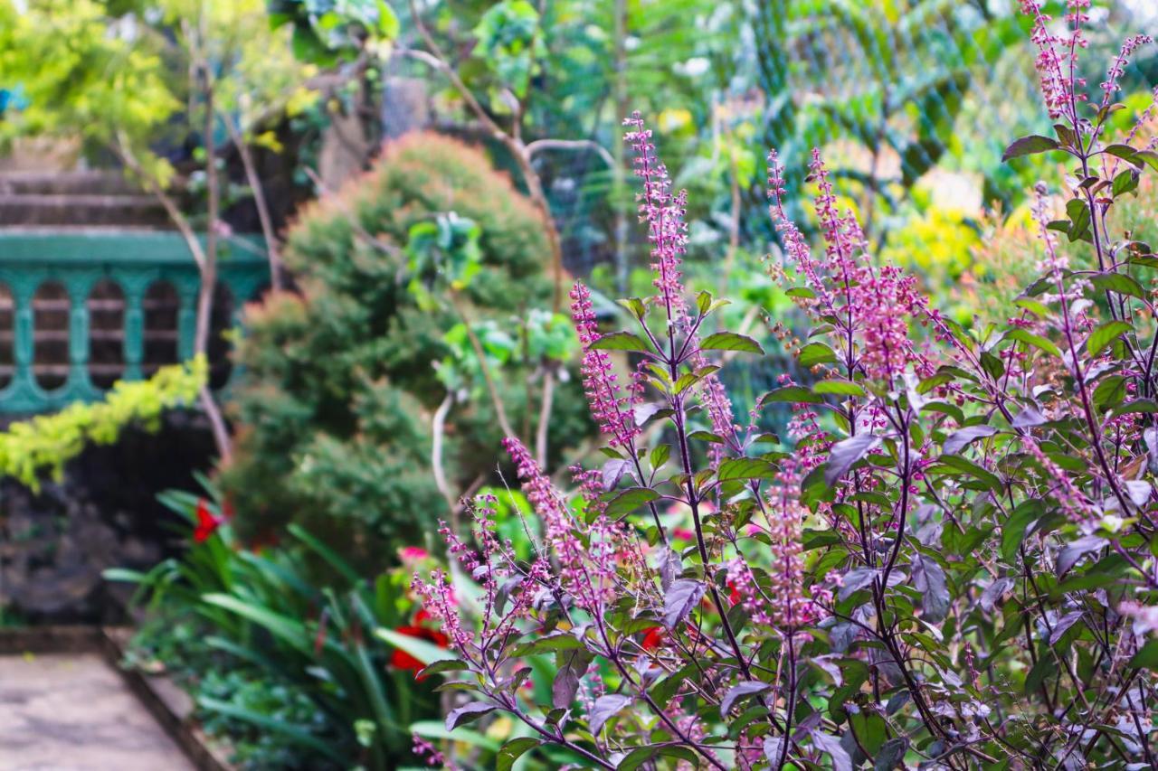 Sitha'S Heaven Bed & Breakfast เอลลา ภายนอก รูปภาพ